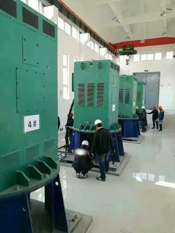 YKK5603-2GJ某污水处理厂使用我厂的立式高压电机安装现场